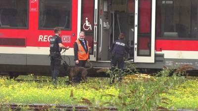 В Германии обнаружили самодельную бомбу в пригородной электричке