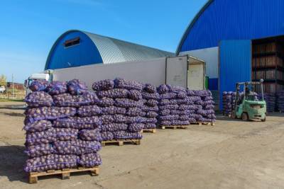 В Грузию пытались завести 25 тонн картофеля, зараженного карантинным заболеванием