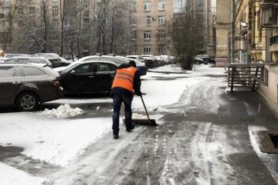 В Смольном отметили нехватку сотрудников служб уборки в Петербурге