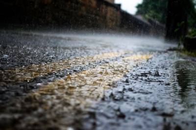 Жителей Ленобласти предупредили о дождях 4 октября