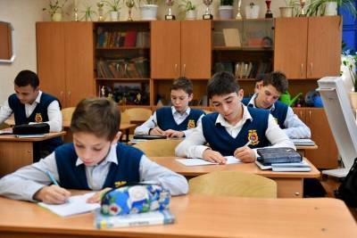 Минпросвещения РФ не рассматривает вопрос о переходе школ на удаленку