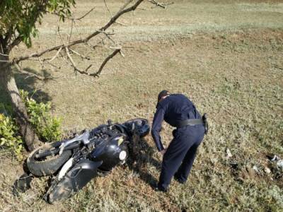 Смертельно ДТП на Херсонщине: парень на мотоцикле съехал в кювет и врезался в дерево