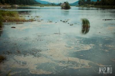 Минприроды прокомментировало информацию о загрязнении воды на Камчатке