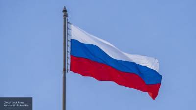 Западная НКО не смогла доказать случаи нарушения демократии в РФ