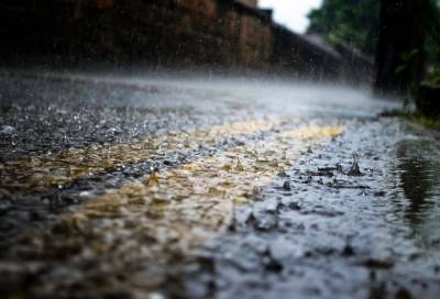 Жителей Ленобласти предупредили о сильных дождях