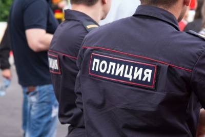 В Ясногорске полиция задержала угонщика