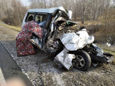 Количество жертв ДТП в Новосибирской области увеличилось до пяти