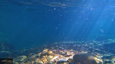 Разлив нефти в НАО не повлиял на жизнь рыб в реке Колва
