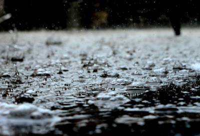 Во вторник 27 октября в Ленобласти ожидают морось и небольшой дождь