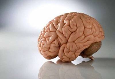 Ученые выяснили, что человеческий мозг уменьшается