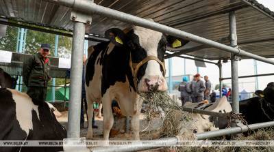 Страны ЕАЭС будут обмениваться сведениями о селекционных достижениях в животноводстве