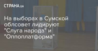 На выборах в Сумской облсовет лидируют "Слуга народа" и "Оппоплатформа"