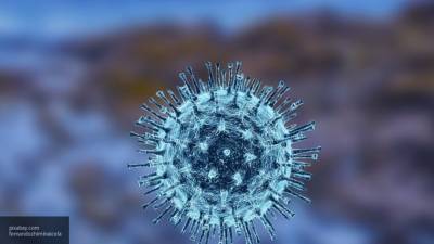 Вирусолог отвергла прогнозы о распространении коронавируса в РФ