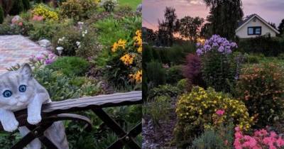 ФОТО: Сад в Эстонии, победивший в конкурсе "Осень в саду"