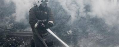 Крупный пожар в Воронежской области ликвидирован