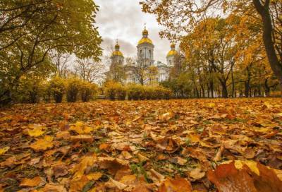 В Петербурге 4 октября похолодает до +15 °С