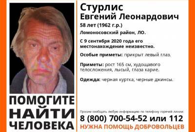 В Ленобласти почти месяц ищут 58-летнего мужчину
