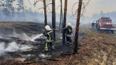 Пожары в Луганской области: гасятся 6 ячеек, 5 из них локализовано