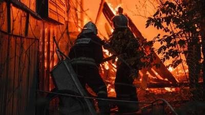 Жертвами пожара в Подмосковье стали две женщины и ребенок