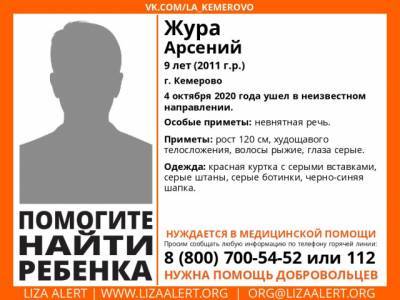 Нуждается в медицинской помощи: в Кемерове пропал 9-летний мальчик