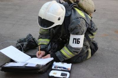 За сутки в Тульской области 7 пожаров и 8 ДТП потребовали вмешательства спасателей