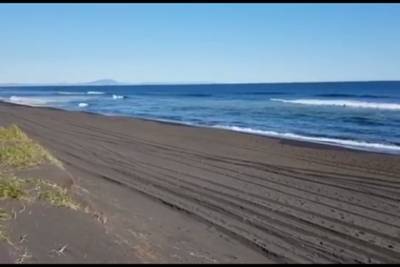 Власти Камчатки объяснили следы от техники на «совершенно чистом» пляже