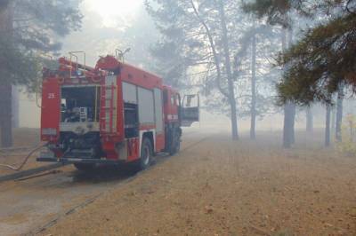 В Луганской области удалось локализовать 5 из 6 очагов пожаров, - ГСЧС