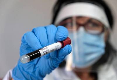 В Петербурге за сутки тест на коронавирус сдали более 21 тысячи человек