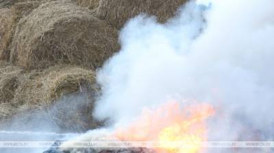 В Копыльском районе сгорело 100 т соломы