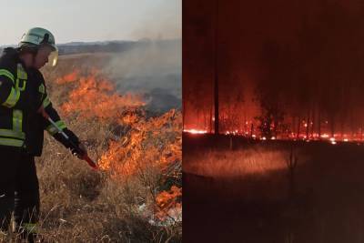 Луганщина в огне: Пожары все еще не потушены