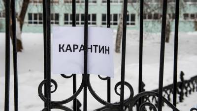 В Минпросвещения рассказали, сколько российских школ находятся на карантине