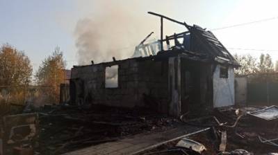 При пожаре в дачном домике пострадала 45-летняя пензячка