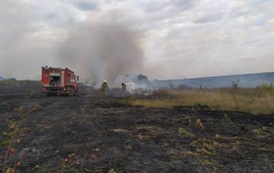 Пожары на Луганщине: потушены два очага