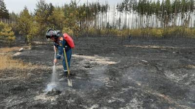 В Воронежской области локализовали один из трёх действующих природных пожаров
