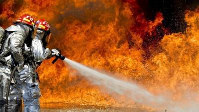 Двое взрослых и ребенок заживо сгорели при пожаре под Москвой