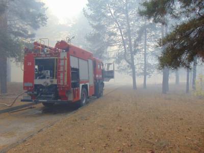Лесные пожары в Луганской области: локализованы 5 очагов возгорания из 6 - ГСЧС