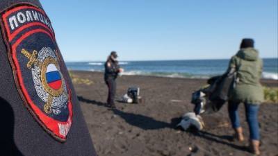 Названа вероятная причина гибели морских животных на Камчатке