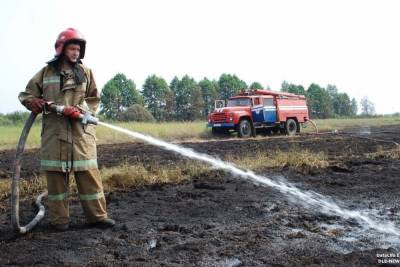 Очередной лесной пожар произошел в Пучежском районе