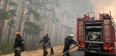 На Луганщині місцева влада своїм непрофесіоналізмом сприяє розповсюдженню пожеж