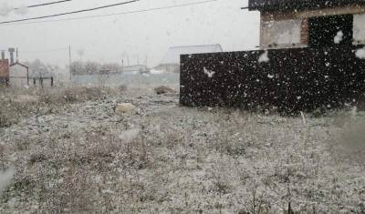 В Тюменской области выпал первый снег