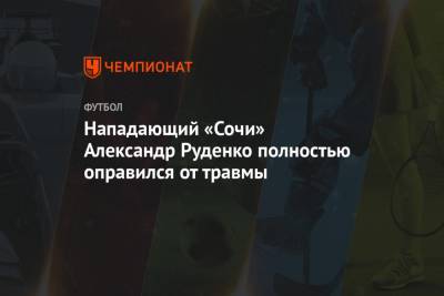Нападающий «Сочи» Александр Руденко полностью оправился от травмы