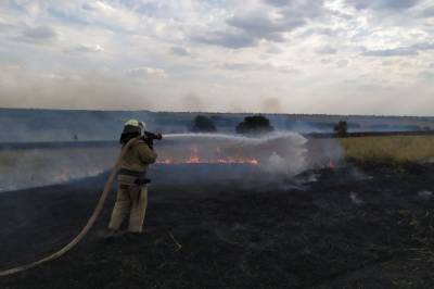 Пожары в Луганской области: спасатели ликвидировали половину очагов горения