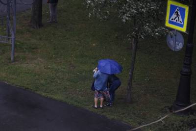 Синоптики пообещали жителям Ленобласти дожди в понедельник