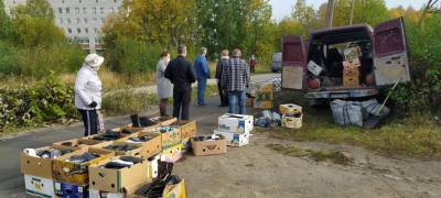 Власти Петрозаводска вновь вышли на охоту за нелегальными торговцами