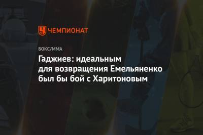 Гаджиев: идеальным для возвращения Емельяненко был бы бой с Харитоновым