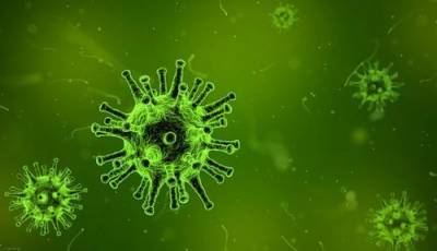 Коронавирусом заразились больше 35 миллионов человек