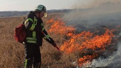 Чрезвычайный уровень пожарной опасности возник на Востоке и в Одесской области