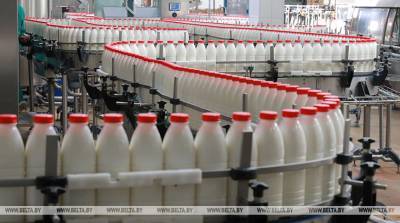 Производство молока и мяса в Беларуси достигло серьезных промышленных основ - Брыло