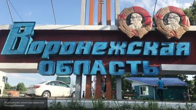 Жителям Воронежа рассказали, когда в город придет тепло