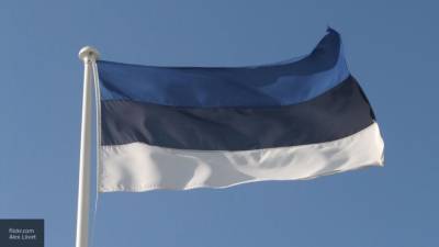 Политолог Почта прокомментировал усиление обороны Эстонии в Финском заливе